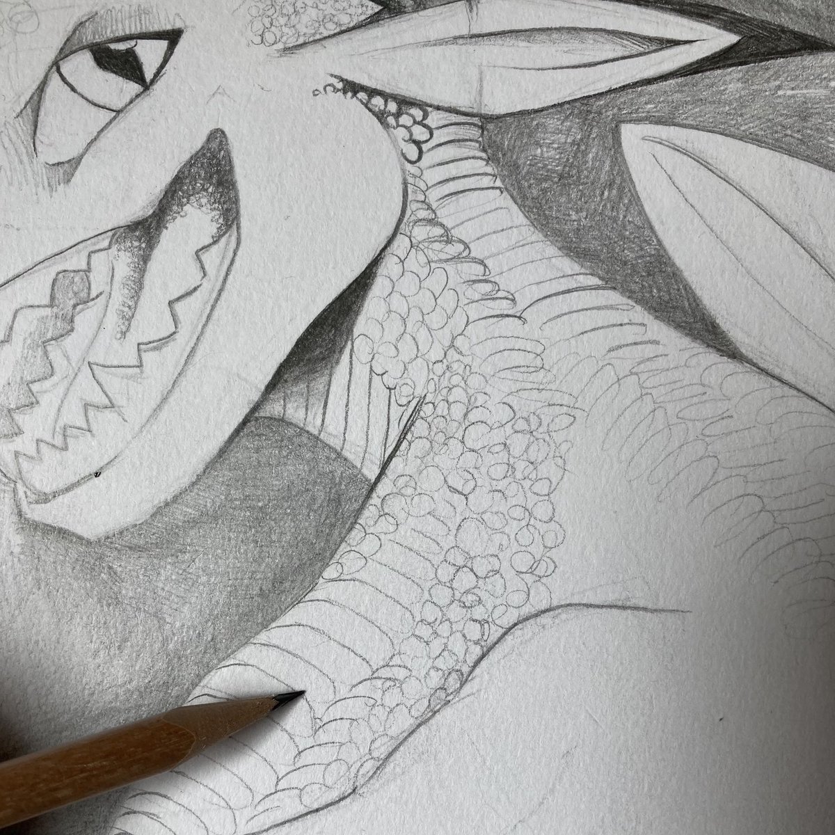 Dazzle | Team Wherewoof 🐺‼️⁉️ tweet media