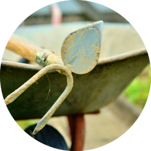 kleingartenon's tweet photo. Das Kleingartenwesen muss wieder zur Ruhe kommen! 
Die Ereignisse im Bezirksverband der Gartenfreunde Pankow e. V.​ nehmen derzeit sehr bedenkliche Anzeichen von Untreue, Betrug und Konkursverschleppung an. All das sind Dinge, die dem gesamten ...

https://t.co/kv5XihkXPe https://t.co/YeQ9loXt1Y