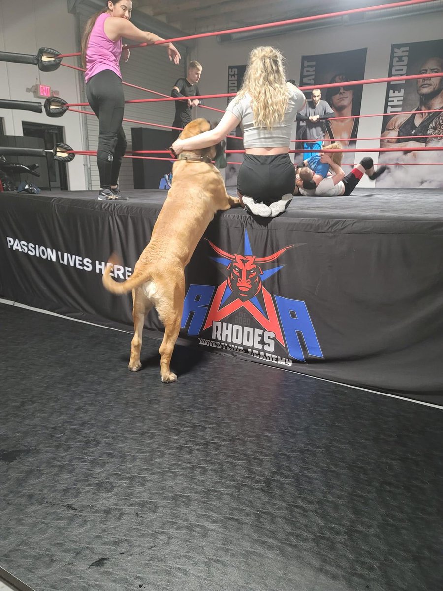 Dustin Rhodes tweet media