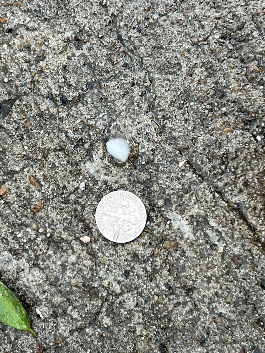RobertPace's tweet photo. Pea size hail in Madison, TN #tspotter @NWSNashville https://t.co/LgfKCsMake