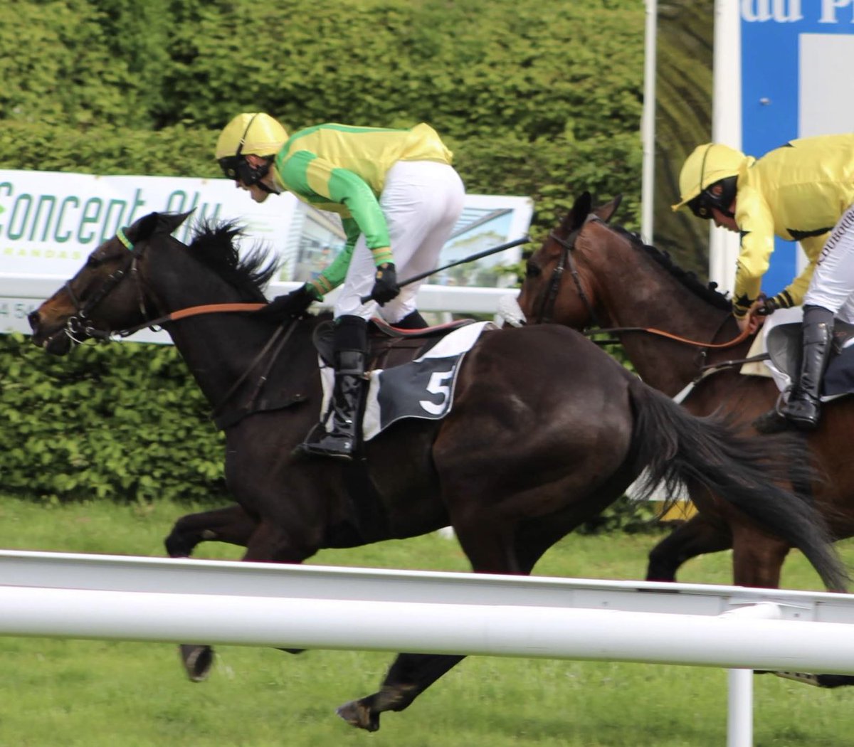 EcurieFoucherF's tweet photo. 🥇🍾Edenham et @FoucherAdrien nous offrent une nouvelle victoire sur l’hippodrome du Pin ! Une victoire familiale et une 1ere en obstacles pour Adrien. Très belle journée pour nous tous !! 🤩🏇💪🏻 https://t.co/JvHNjwQjnY