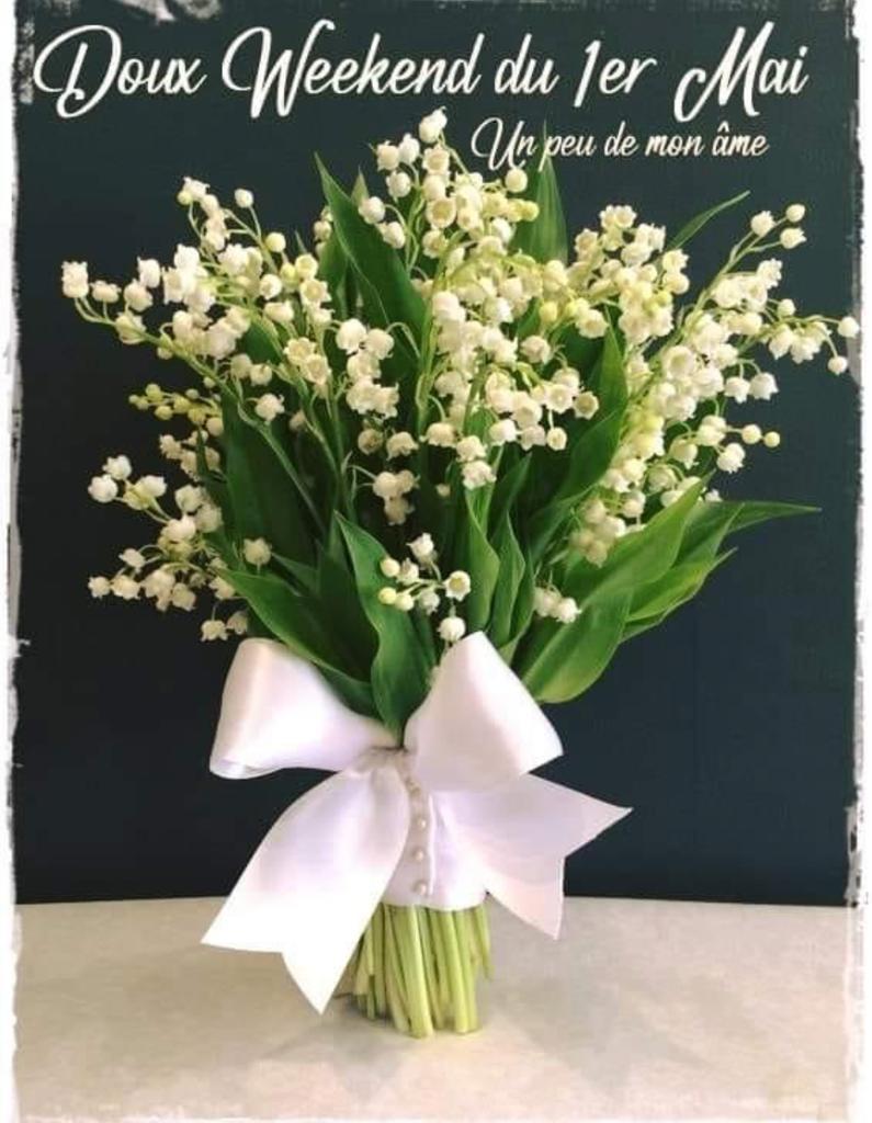 Jinane Milelli (@jinanemilelli) on Twitter photo 