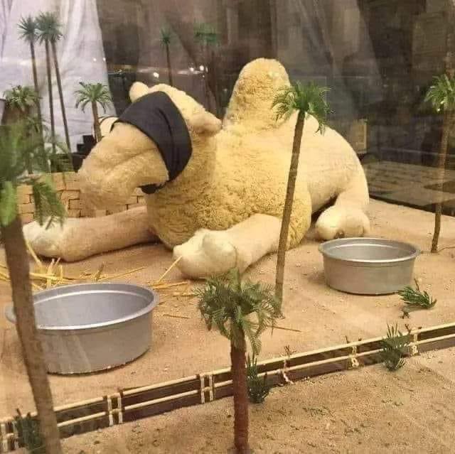 abdulkarim_900's tweet photo. نموذج توضيحي لناقة النبي صل الله عليه و سلم القصواء وما حل بها بعد إنتقال رسول الله صلى الله عليه و سلم إلى الرفيق الا على، فلم تحتمل فراقه وحزنت حزنا شديدا ومن شدة بكائها وحزنها فقدت بصرها فقام الصحابة بربط عصابة سوداء على عينيها، وكانوا يضعون أمامها الطعام والماء… كما هو موضح https://t.co/tHae2zj33b