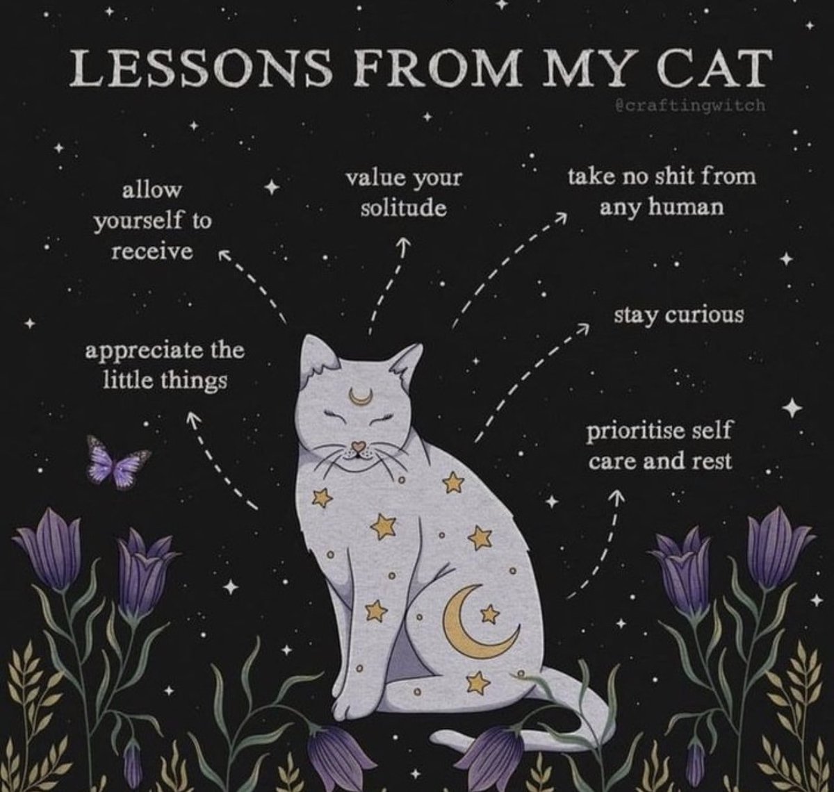 Hlynnfaulkner's tweet image. #catlessons #CatsOfTwitter
