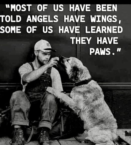 WellSeriously's tweet photo. My fur-babies are indeed Angels with wings....and so are all of God's other critters on my farm. Can't imagine life without all them surrounding me and me taking care of them - Thank You God for them ALL!
#CircleOfLife https://t.co/uBjh1NfLdi