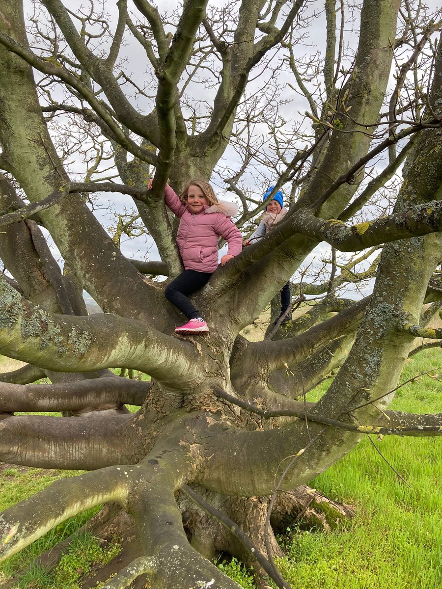 Sean Laird tweet media