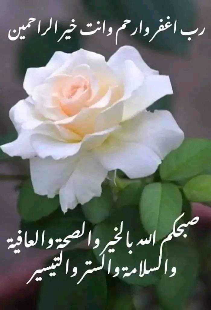 Ayman (@ayman22682328) on Twitter photo 