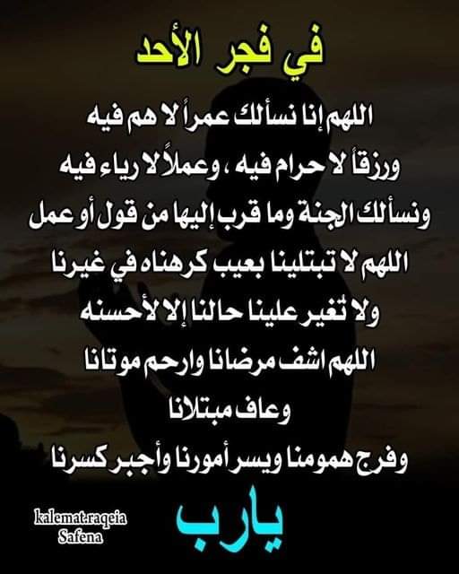 Ayman (@ayman22682328) on Twitter photo 