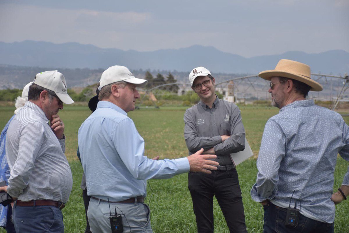 bretonguillermo's tweet photo. What an honor to host a tour of the @CIMMYT’s Board of Trustees on my farm. Science getting closer to farmers and scientists getting closer to the fields #virtuouscircle. Learning from each other.
#BoardOfTrusteesSpringMeeting
Thank you @bramaccimmyt 
@CGIAR 
@World_Farmers https://t.co/KsTsR8efwi
