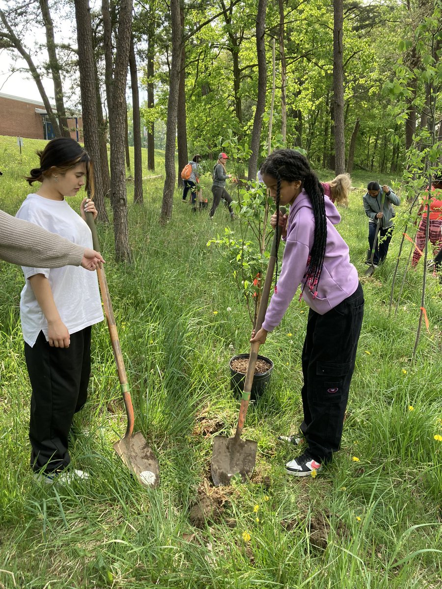Students <a href="/CatonsvilleMS/">Catonsville Middle</a> worked beside Delegates White and <a href="/EricEbersole/">Eric Ebersole</a> to restore the forest on our campus. Thank you Catonsville Tree Canopy and Patapsco Heritage Greenway for the support! <a href="/voteforjenwhite/">Delegate Jennifer White</a> <a href="/PatapscoValley/">Patapsco Heritage Greenway</a> <a href="/BCPSOutdoorSci/">广州</a> #cmsgameon