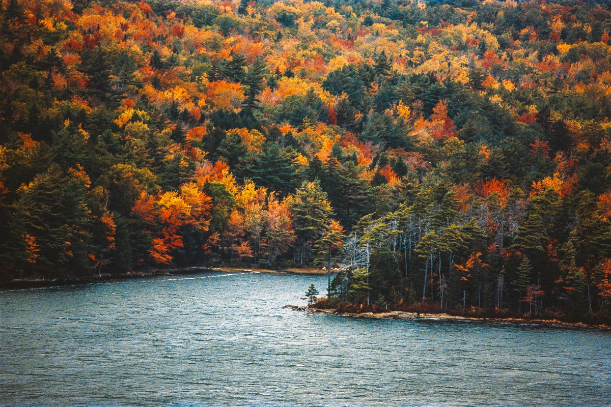 johncwingfield's tweet photo. Autumn in coastal Maine, on 35mm film https://t.co/PLs5DUMq4y