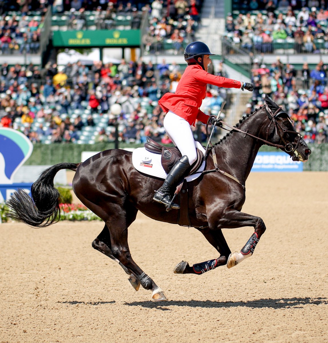 USequestrian tweet picture