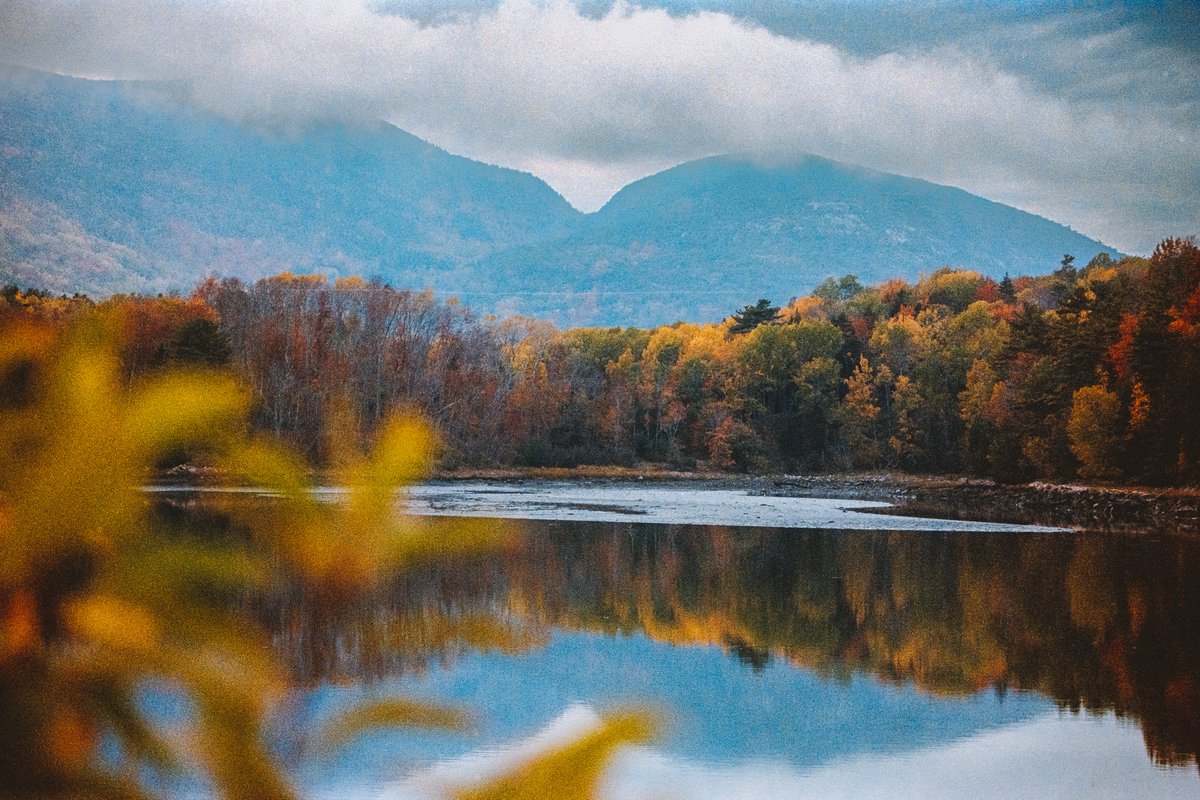 johncwingfield's tweet photo. Autumn in coastal Maine, on 35mm film https://t.co/PLs5DUMq4y