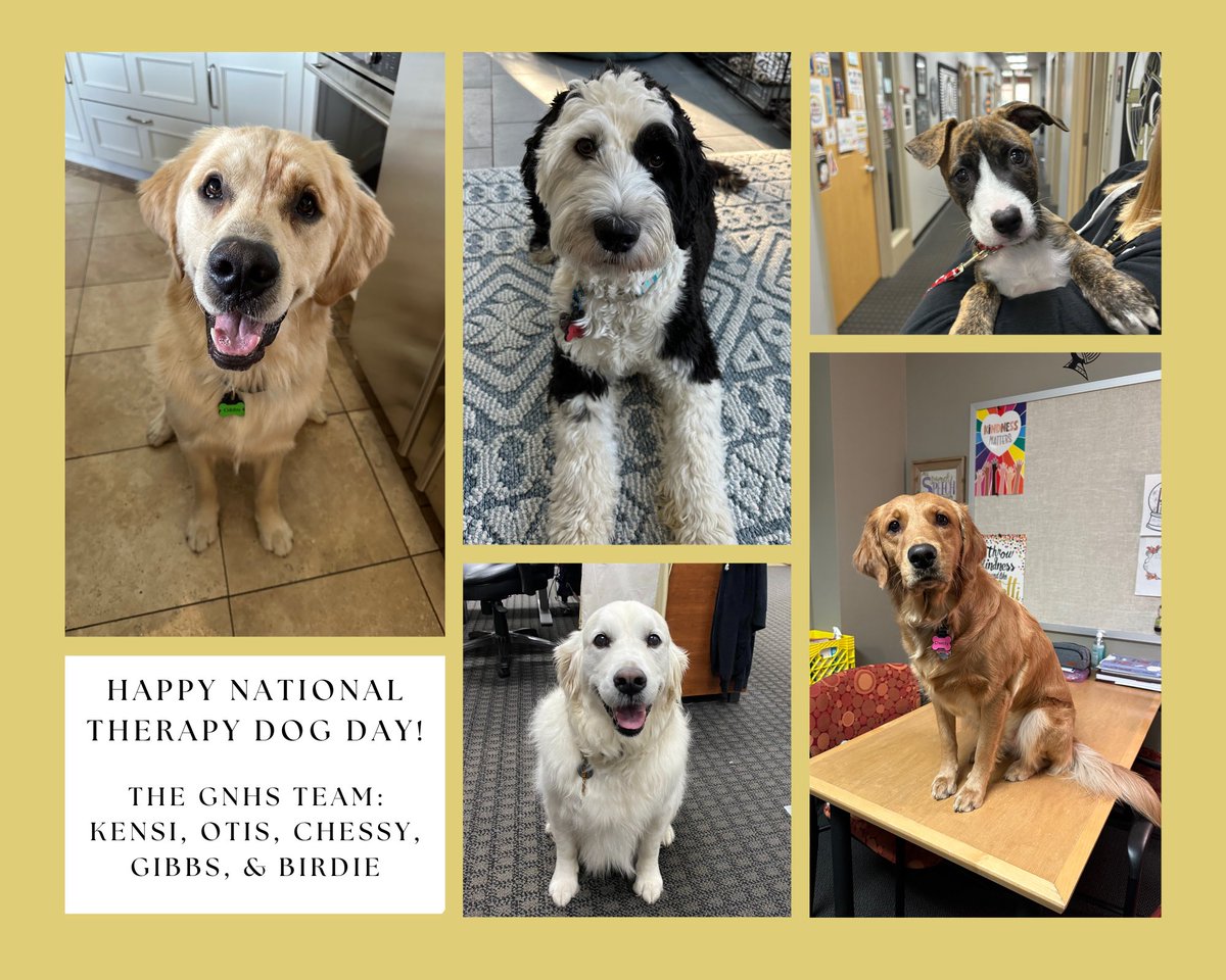 Happy National Therapy Animal Day! 🖤🐾💛 <a href="/GrayslakeNorth/">Knight Pride</a> <a href="/Grayslake127/">Grayslake 127</a> 
<a href="/LHSWrigley/">Wrigley the Wildcat</a> <a href="/NovaBearLZHS/">Nova Bear</a> <a href="/helpdogluke/">Luke Villalobos</a>