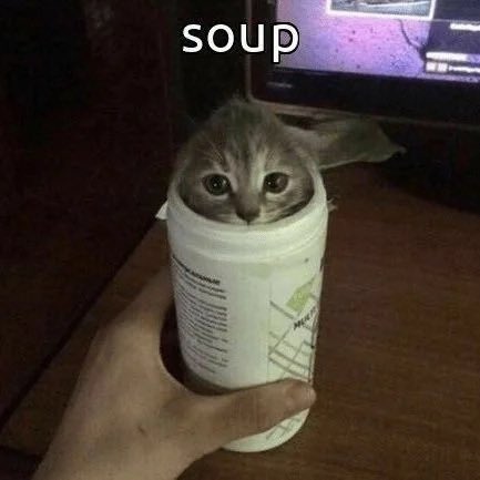 DanielWantPizza's tweet photo. @tarik @Sentinels https://t.co/IHFlbGeLJ3