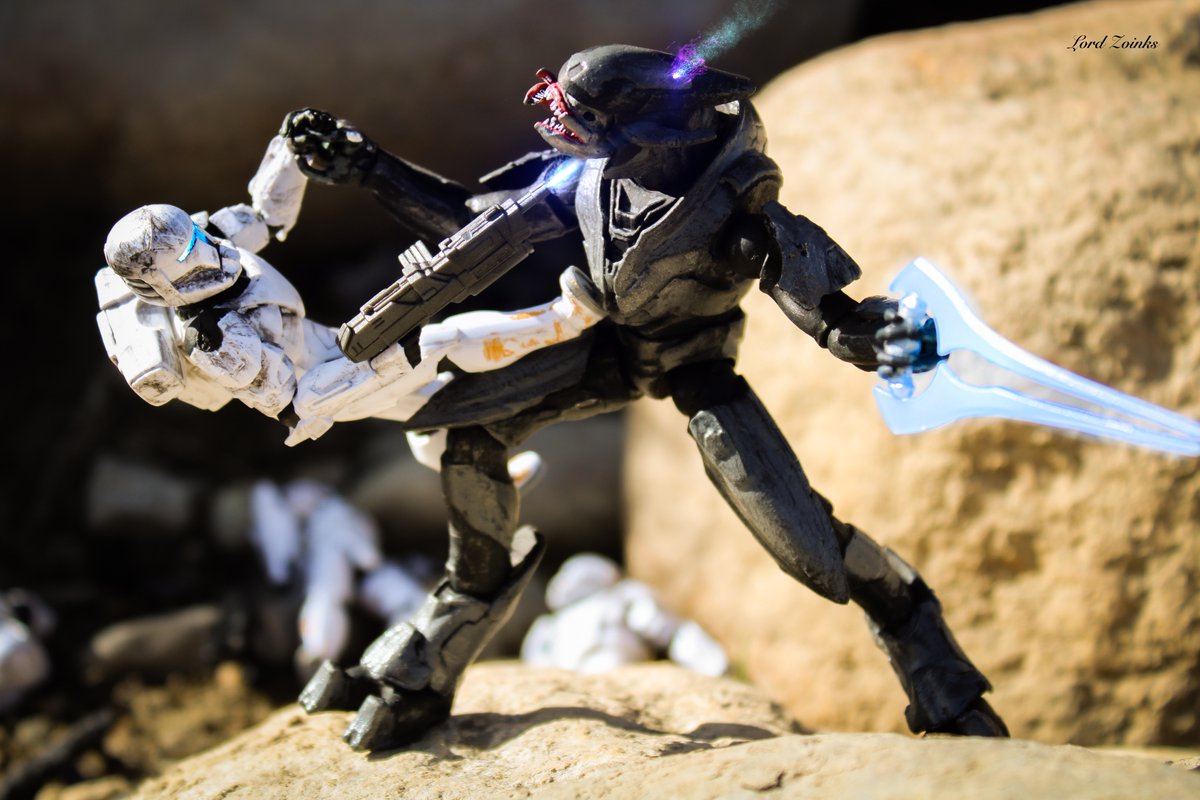 'YOU KILLED MY POD BROTHERS, AHHH!'

PEW

'WORT'

#Halo #halospotlight #StarWars #starwarsrepubliccommando #halotoyphotography #starwarstoyphotography #toyphotography #Hasbro @Jazwares