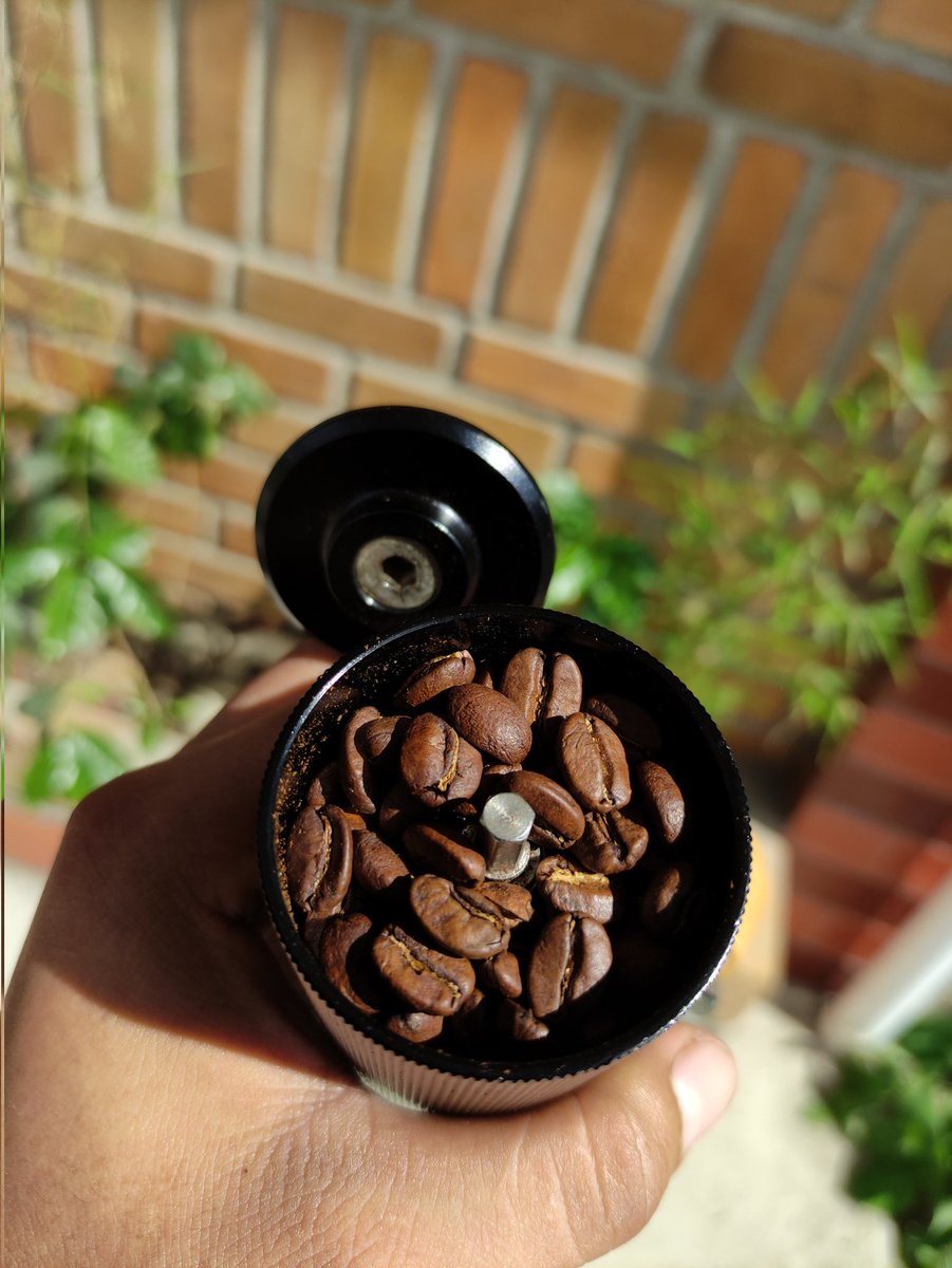 DannyCorrea25's tweet photo. Los mejores granos de café se cultivan  y se preparan en @PermatreeT sur de Ecuador.🌿☕🌴🏝️🌤️🍒
@WalterVillacis_ @premiosverdes @ChocolatesQr 
#cafe #selva #amazonia #yantzaza #CoffeeTalk https://t.co/WLeYLgoUUa