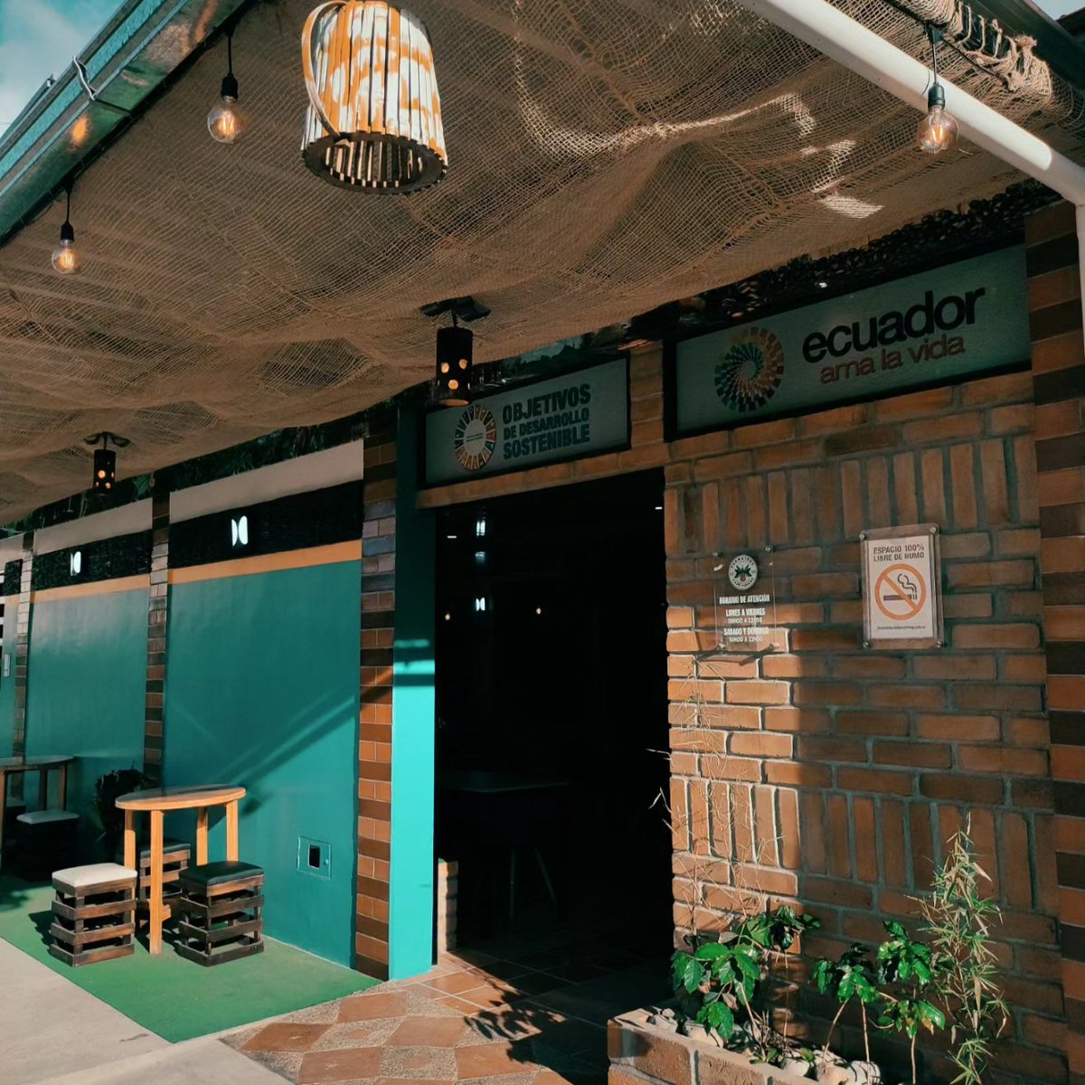 DannyCorrea25's tweet photo. Los mejores granos de café se cultivan  y se preparan en @PermatreeT sur de Ecuador.🌿☕🌴🏝️🌤️🍒
@WalterVillacis_ @premiosverdes @ChocolatesQr 
#cafe #selva #amazonia #yantzaza #CoffeeTalk https://t.co/WLeYLgoUUa