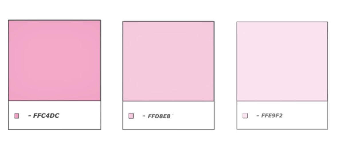 itsjuliexoxo's tweet photo. shades of pink 🩷 https://t.co/vxckx0po8u