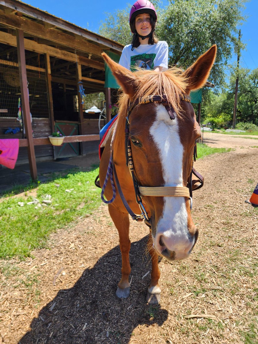 DADTH's tweet photo. Not even a blustery day could keep our dedicated riders and volunteers from our Saturday session schedule! Thank you all who make these moments possible. We are changing lives, one hoofbeat at a time ��️🐴 #dreamadreamtherapeutichorsemanship #therapeutichorsebackriding https://t.co/hYhxln1ulL