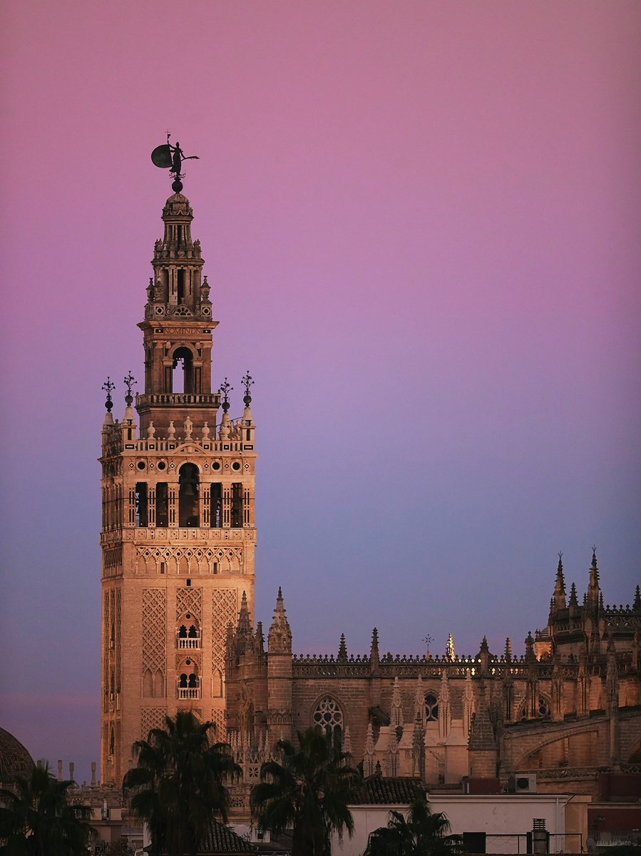 fransantiph's tweet photo. Bendito abril, Sevilla. https://t.co/ADD0rq8j8o
