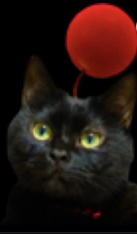 GhostPumpkin617's tweet photo. @premier_two https://t.co/AJMykJWmd2