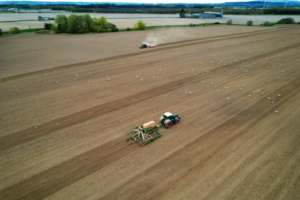 🇺🇦🇺🇦RM & JF Seed🇺🇦🇺🇦 tweet media