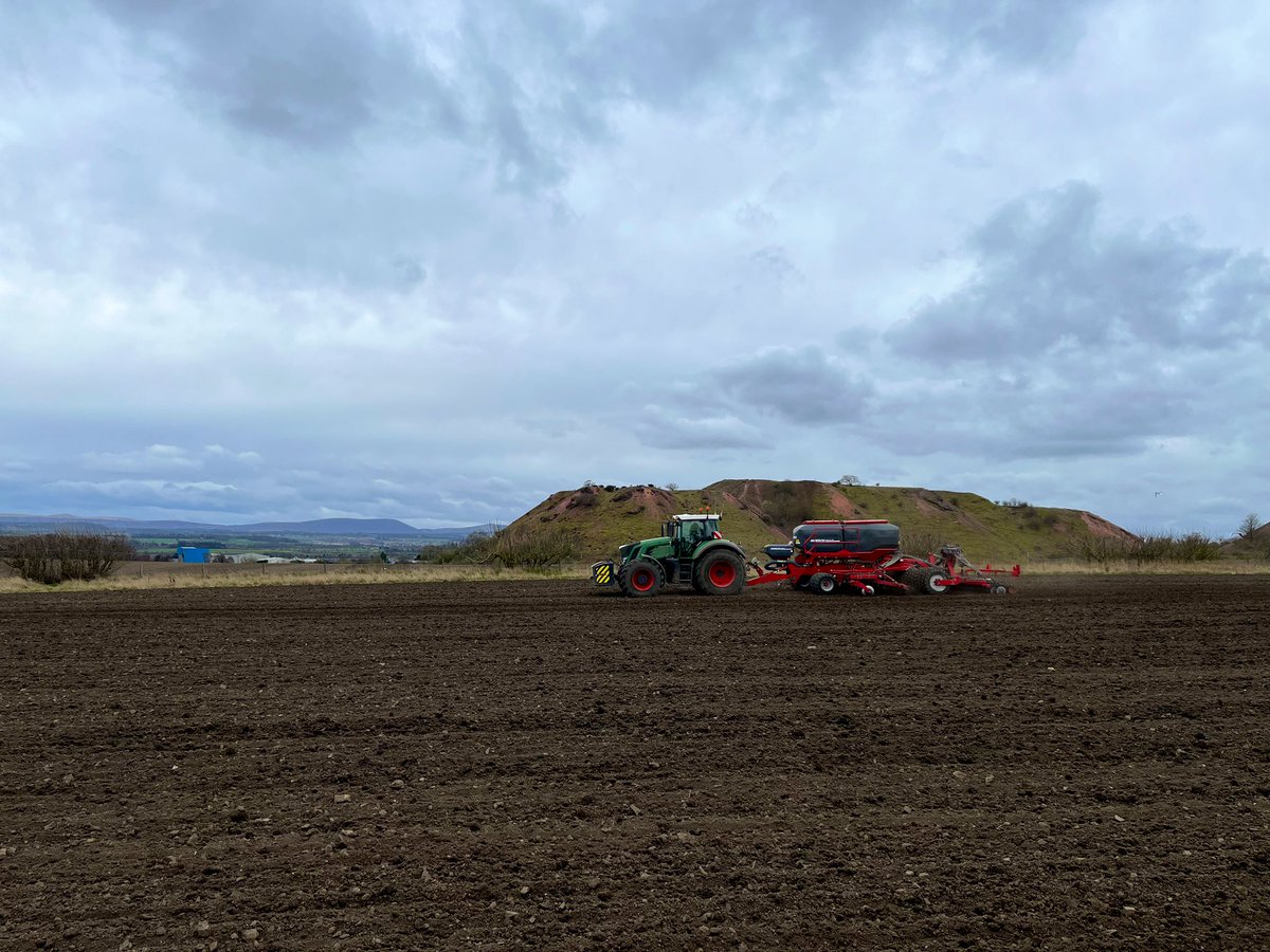 🇺🇦🇺🇦RM & JF Seed🇺🇦🇺🇦 tweet media