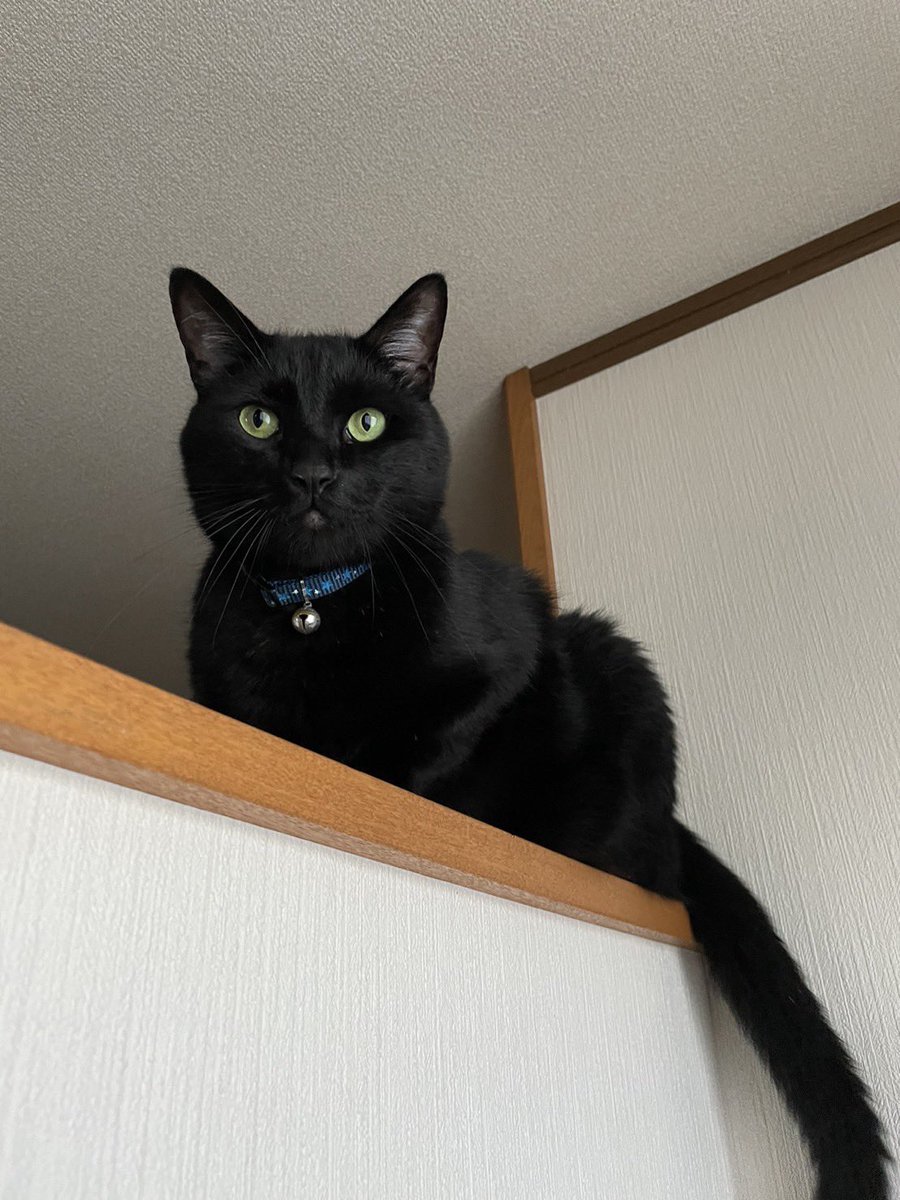 おはようございます。今日は家で自宅警備してます。SNSはみれるので推しのみてます。👍
@minaseran_gr 
@marin_aiai 
@nanaco_hrksm 
@mayu_033030 
<a href="/2o_izumi/">𓆡*</a> 
<a href="/juna_shinno/">信野樹奈🥨Teamくれれっ娘！</a> 
<a href="/hhhhhhhhinata/">高砂ひなた</a> 
<a href="/nagisa_tenhana/">水雲なぎさ【てんはな 】</a>
<a href="/chiak_shirokyan/">西野千明</a> 
<a href="/elsy_shiina/">新井椎夏</a> 
<a href="/ruka_crumble/">広瀬 るか(Crumble)</a>