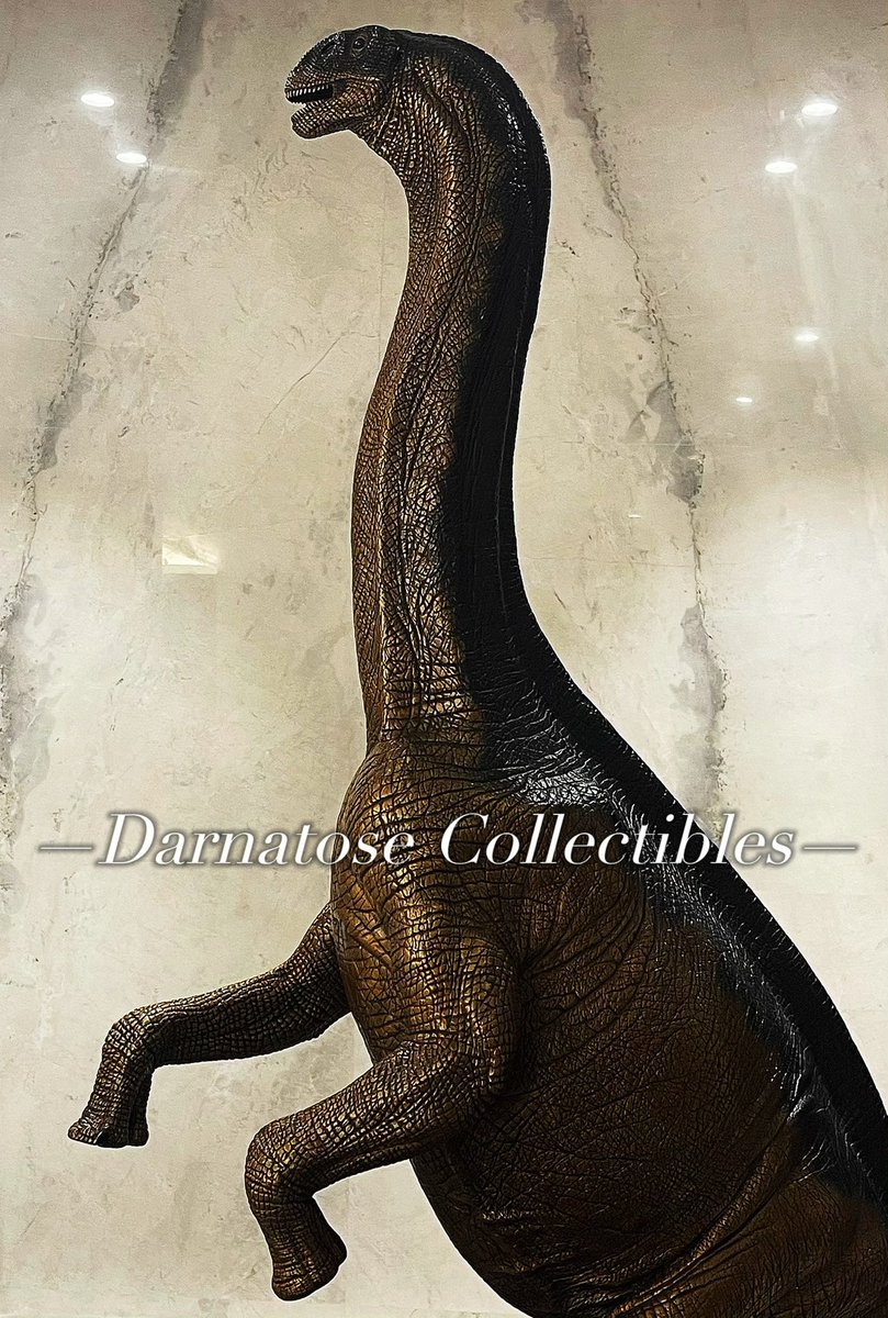 x_seaver's tweet photo. In November of 1999, Michael Trcic completed a 1/8 scale sculpture of this new sauropod "Jobaria" under the direction of Dr. Sereno for an exhibit at National Geographic's Explorer¹s Hall in Washington, DC. Can’t believe I will have one!
#Jobaria #MichaelTrcic #Dinosaur https://t.co/c1TaRYuE2A