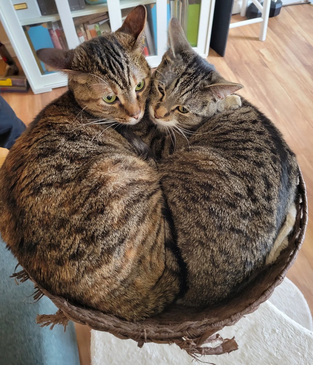 junetongwoo's tweet photo. Soft croissant babies https://t.co/S4XDeUFlTK