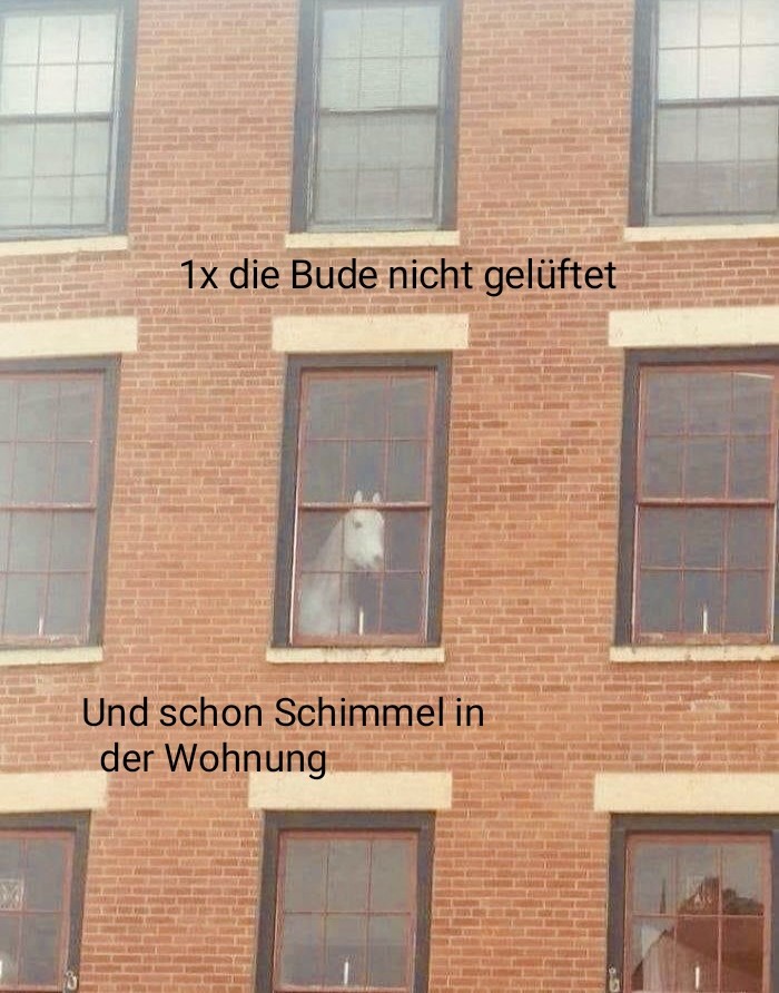 RT muhkilol: Hab mehr gelacht als ich sollte