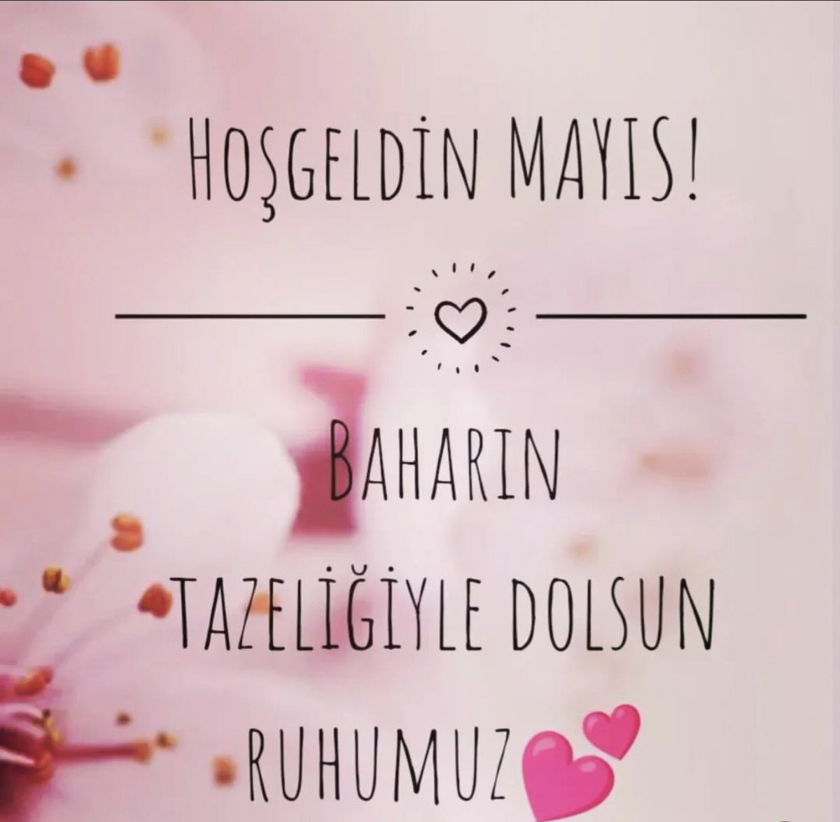 Bunca yıl sönmemiş umudum
Nisan değilse Mayıs…

#atillailhan 
#bahar
#mayıs