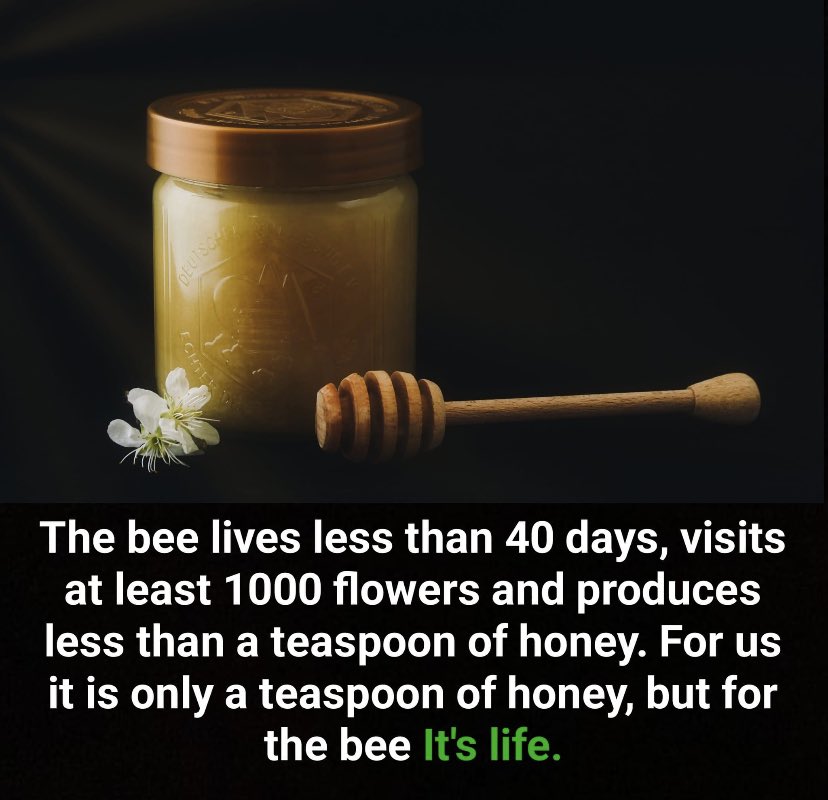 Annie (@anniefortruth) on Twitter photo 