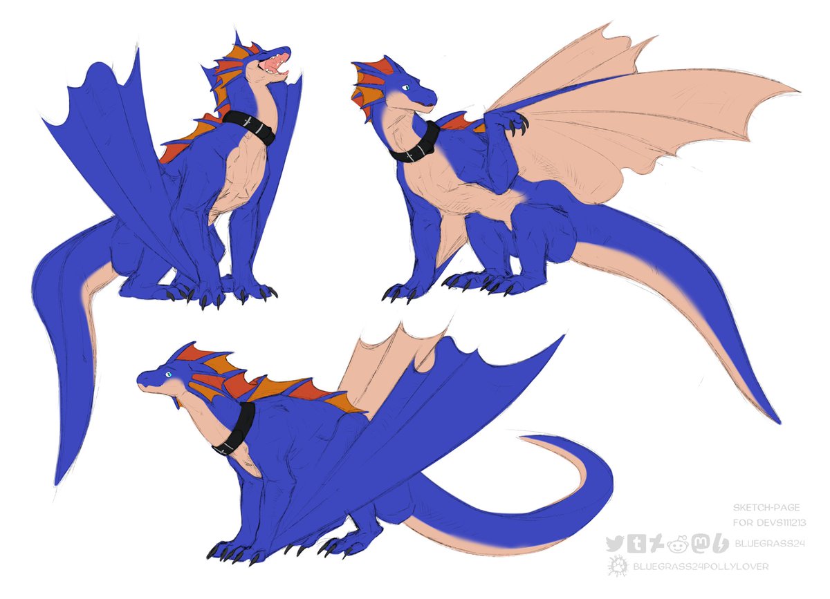 bluegrass24's tweet photo. Sketch-page for @devs111213 

#art #digitalart #ArtistOnTwitter #dragon #commission https://t.co/GtFeAlbHFU