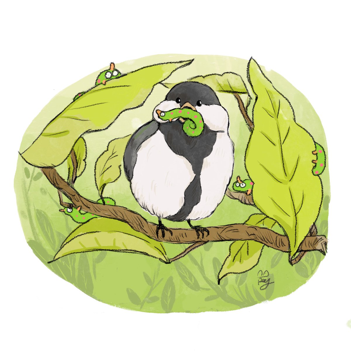 朝ごはん🐛中のシジュウカラをみつけました。身近な野生、可愛くてワイルドなところが魅力のひとつです🤤
#野鳥 https://t.co/DavzrXnvHD