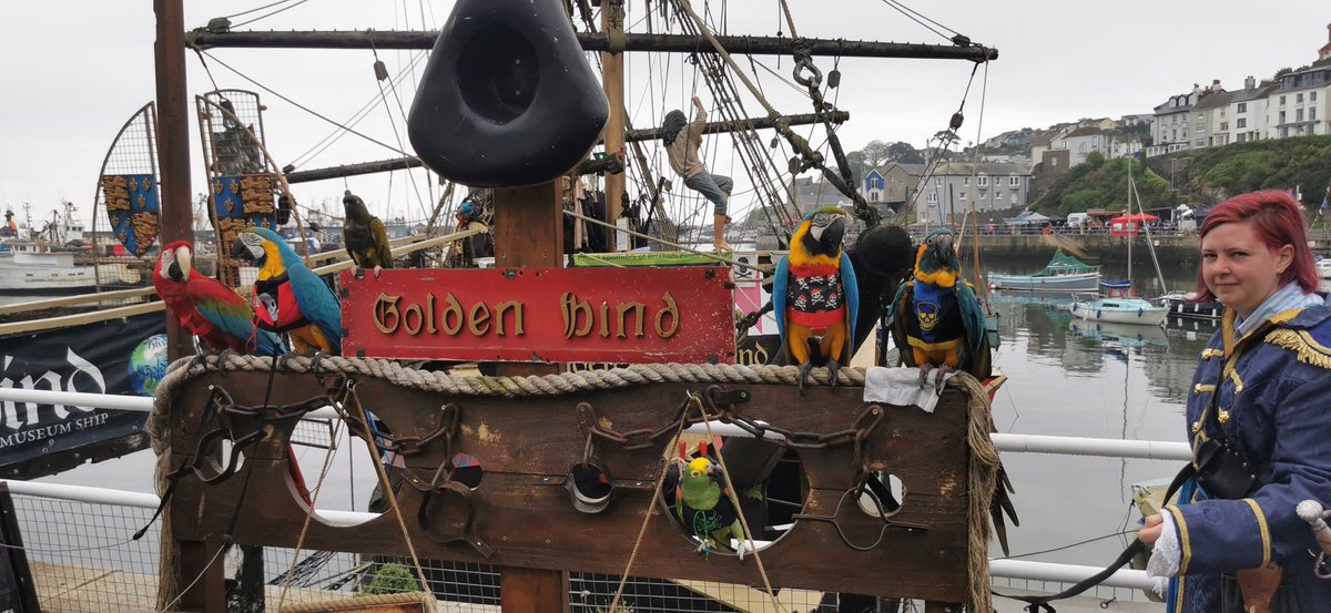 ParrotsnPirates's tweet photo. Pirate festival brixham https://t.co/Hgw5VZKWbO
