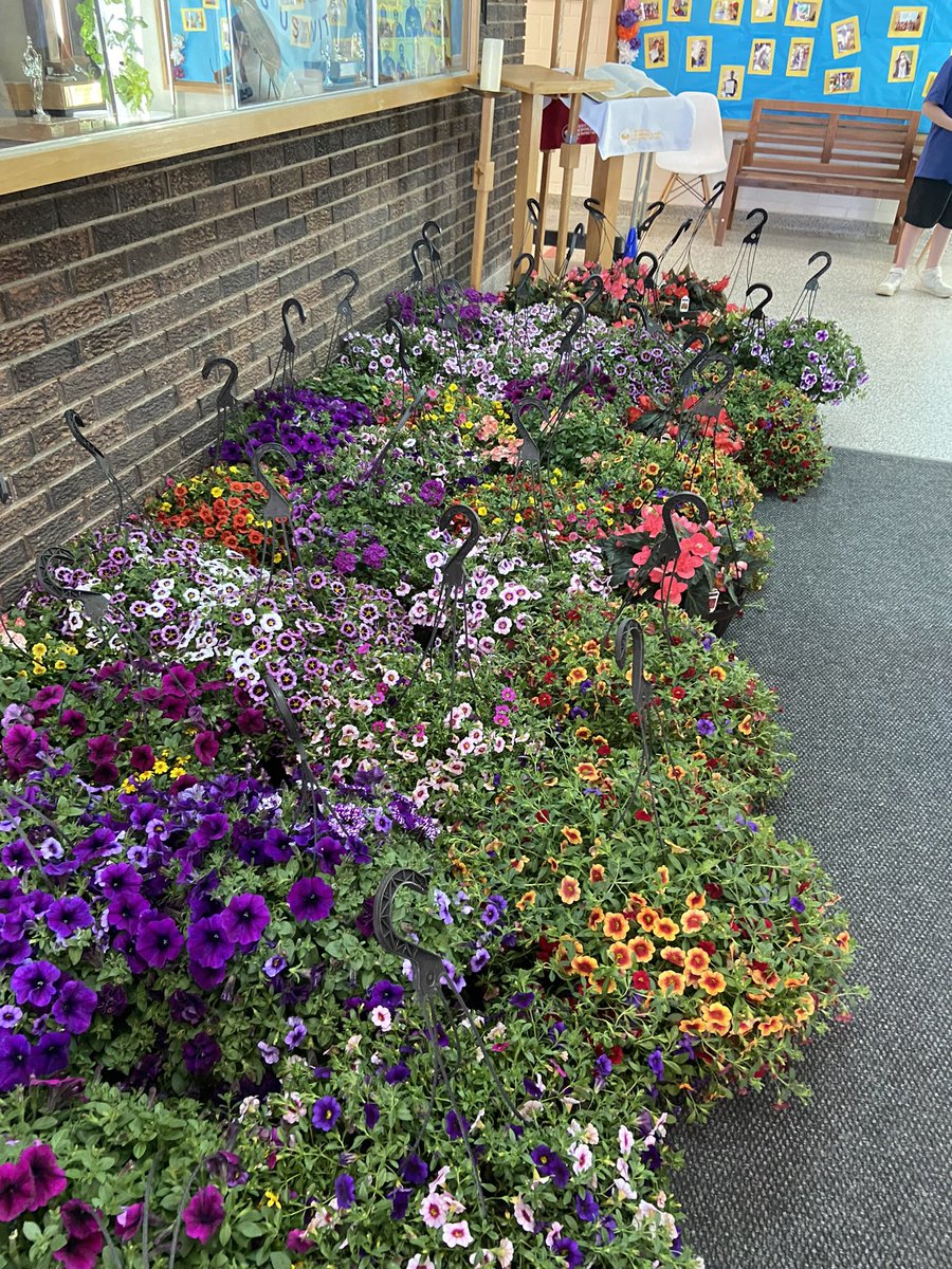 StMartinCouncil (@stmartincouncil) on Twitter photo Flowers close tonight!!! Plants from Richmond Nursery
Log into school cash online!
Pick up May 13 until noon <a href="/StMartinOCSB/">St. Martin de Porres School</a>
Just in time for Mother’s Day ❤️ Flowers close tonight!!! Plants from Richmond Nursery
Log into school cash online!
Pick up May 13 until noon <a href="/StMartinOCSB/">St. Martin de Porres School</a>
Just in time for Mother’s Day ❤️