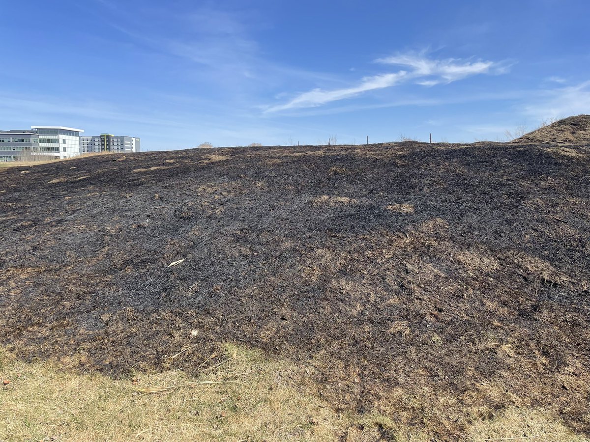 JoeisCranky's tweet photo. The ravine by our neighbourhood.  Okay folks , it’s hot, dry and windy. #yeg #befiresmart. https://t.co/Ju5AAv89Sc