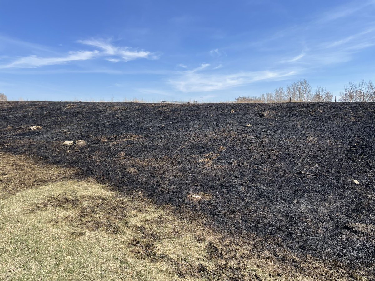 JoeisCranky's tweet photo. The ravine by our neighbourhood.  Okay folks , it’s hot, dry and windy. #yeg #befiresmart. https://t.co/Ju5AAv89Sc