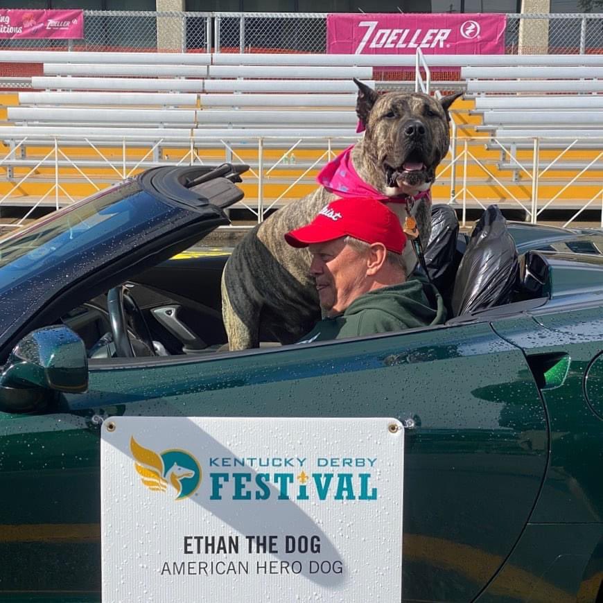 wave3news's tweet photo. ETHAN! The moment we’ve all been waiting for. 🐶 #ethanthedog #waveparade #pegasusparade https://t.co/rDAUY8zwsS