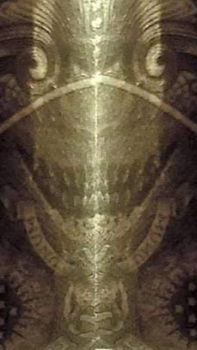 Geo1764314747's tweet photo. Tome su billete de 1 dólar y vea con sus propios ojos.

¿ Qué logras ver ? 

@ALIENEGRO 
@SIUKRA12 https://t.co/durng3XDLu