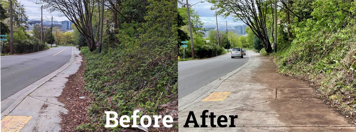 SEAStreetFixers's tweet photo. 1/3 Thank you @tooledesign &amp; everyone @bobco85 @freshRoots @NickSattele for helping clear 1/4 mile of Beacon Ave sidewalk btwn 13th Ave &amp; I-90 Trail! Thanks @Jrock08 for setting this up
-teamwork FTW
-group zooming downhill
-local resident supervised us
-before/after comparison https://t.co/5IViqNeQ4N