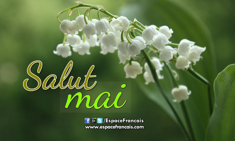 EspaceFrancais's tweet photo. Salut mai ! 💐
#SalutMai #Salut_mai #HelloMay #Hello_May #Mai #May #Spring #Printemps #Spring2023 #Printemps2023 #Saison #Season #Month #Mois #Muguet #MuguetDeMai #Bonheur #Joie #PorteBonheur https://t.co/FRS1ku1W6w