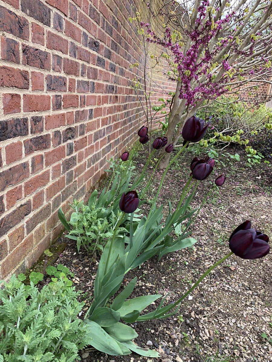 GardenersCottageCafe tweet media