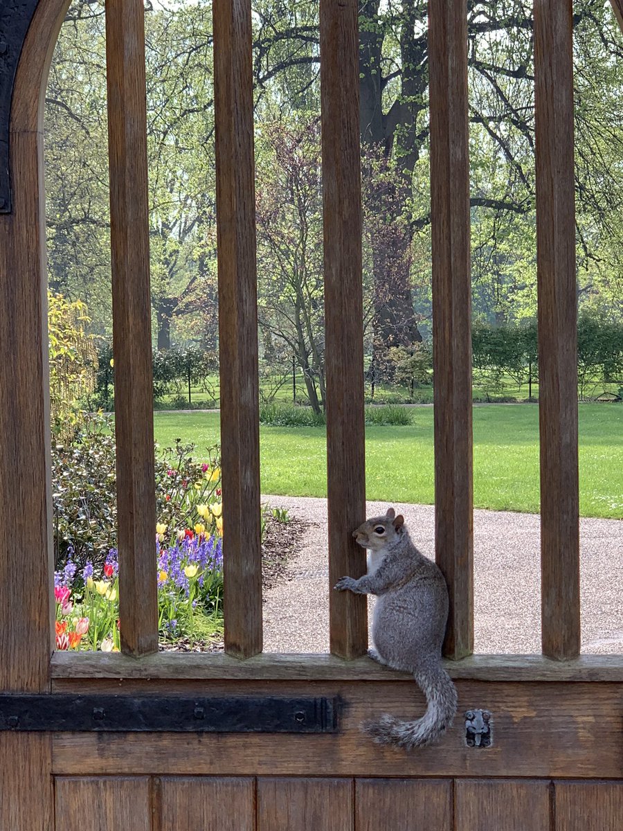 GardenersCottageCafe tweet media