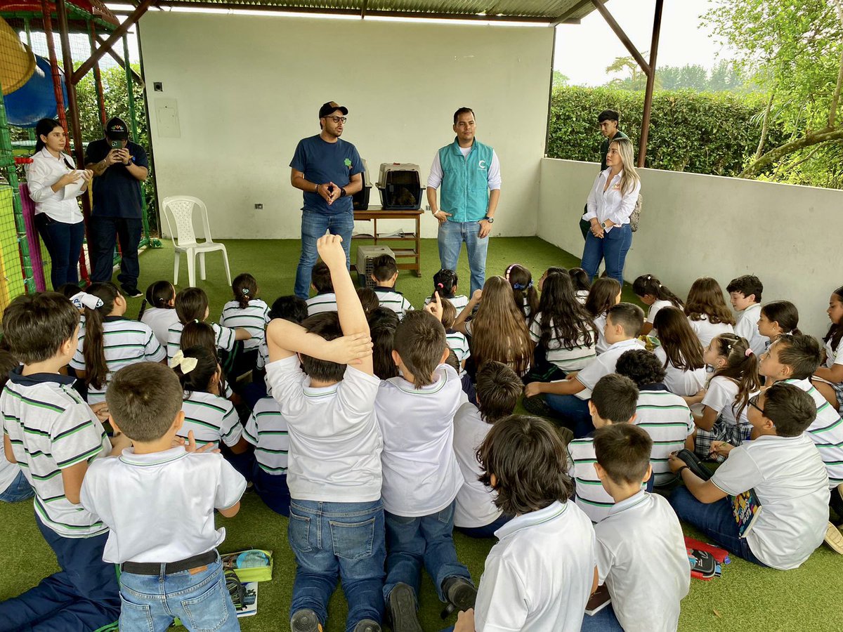 CORMACARENA's tweet photo. ¡Los niños del Meta aprenden de fauna silvestre! 🫶🏻🤩🐒
Enseñamos a los estudiantes del colegio Los Ocobos, en Restrepo, la importancia de conservar la fauna silvestre del territorio para que sean los próximos protectores del ambiente.💚🌳
#Somosvida #somosmeta https://t.co/DZ7P0mokws