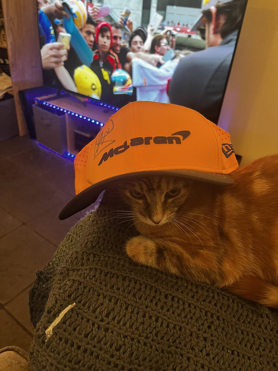 bethanyfsharpe's tweet photo. Robbie in her hat she was purring I promise @LandoNorris can we make cat size hats she’s not happy sharing mine  🤣 #McLarenF1 #landonorris https://t.co/CfmrdKTlcu