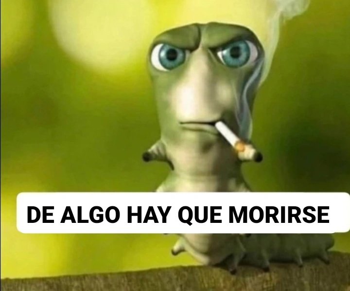 Licenciada Ivanka (@i_lewinsky) on Twitter photo 