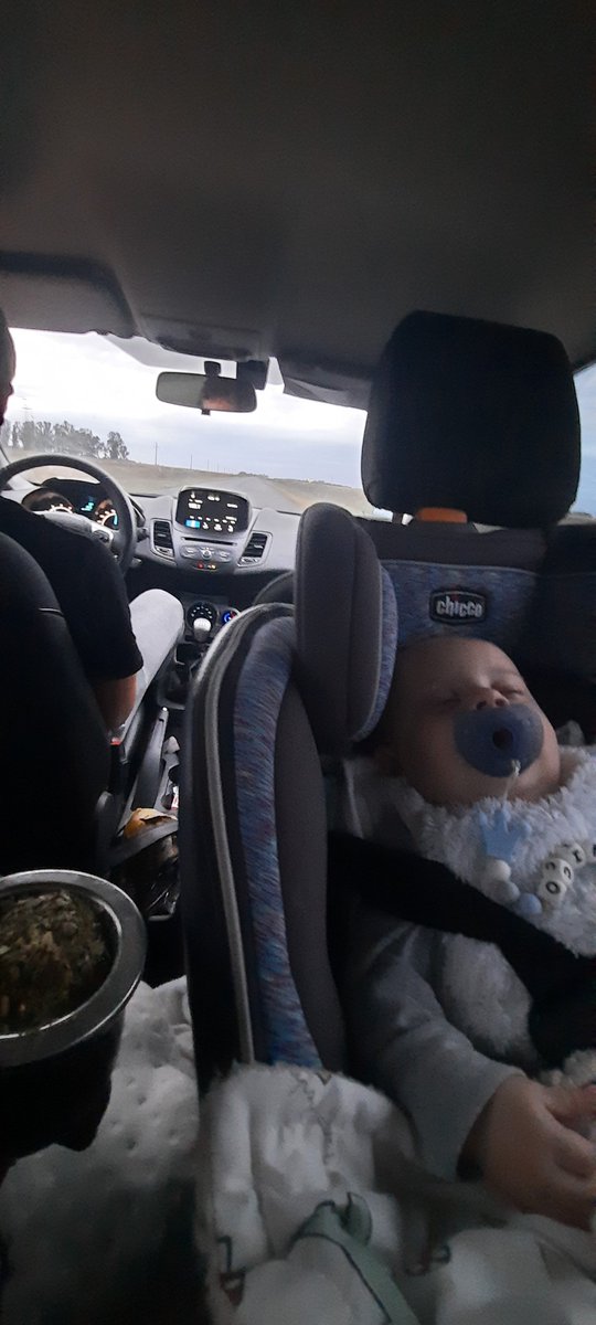 Viajar con esta temperatura es todo lo que está bien... 12° 🧉